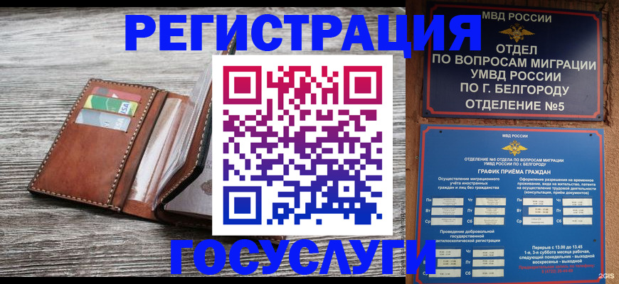 прописка 2025 в Ельце